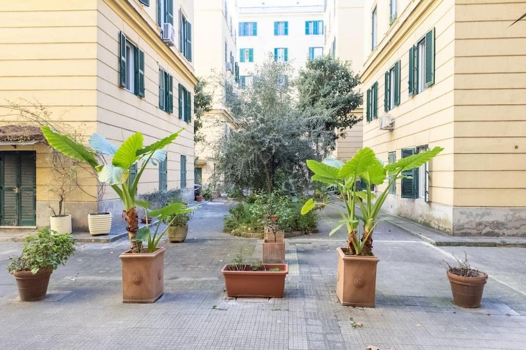 Apartment New! Giulio Cesare
